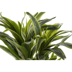 Selyemvirág dracéna 57x59x124 cm