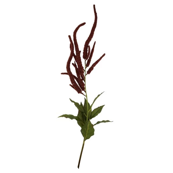 Selyemvirág amaranthus 110 cm