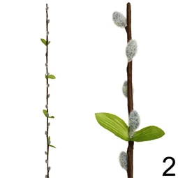 Selyemvirág ág barkával 75 cm