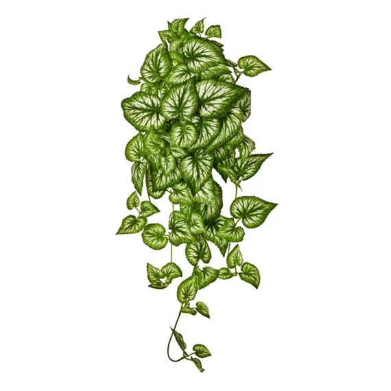 Selyemvirág Begónia futó 65 cm