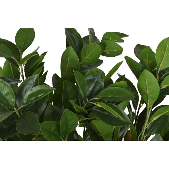 Selyemvirág citromfa cserepes 40x40x80 cm