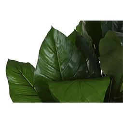 Selyemvirág cserepes 80x80x180 cm