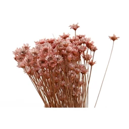 Selyemvirág csokor szárazvirág 10x10x30 cm 3 féle