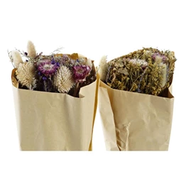 Selyemvirág csokor szárazvirág 20x12x50 cm 2 féle