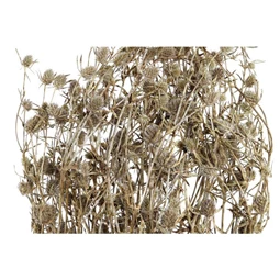 Selyemvirág csokor szárazvirág 20x20x70 cm 2 féle