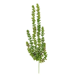 Selyemvirág futó Borsóka 45 cm