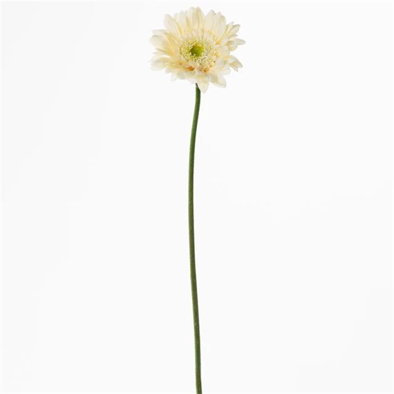 Selyemvirág gerbera 45 cm