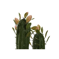Selyemvirág kaktusz cserepes 10x12x28 cm