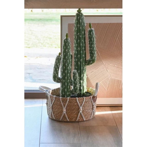 Selyemvirág kaktusz cserepes 21x16x70 cm