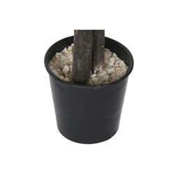 Selyemvirág kaspóban Fikusz 80x80x180 cm