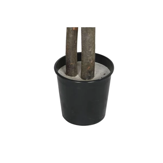 Selyemvirág kaspóban Mangó 100x100x185 cm