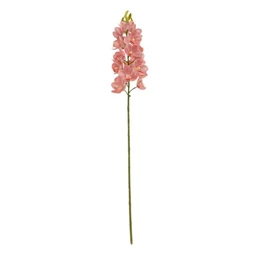 Selyemvirág lepkeorchidea 80 cm