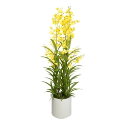 Selyemvirág Orchidea, Oncidium, 3 ágú, kaspóban 112 cm