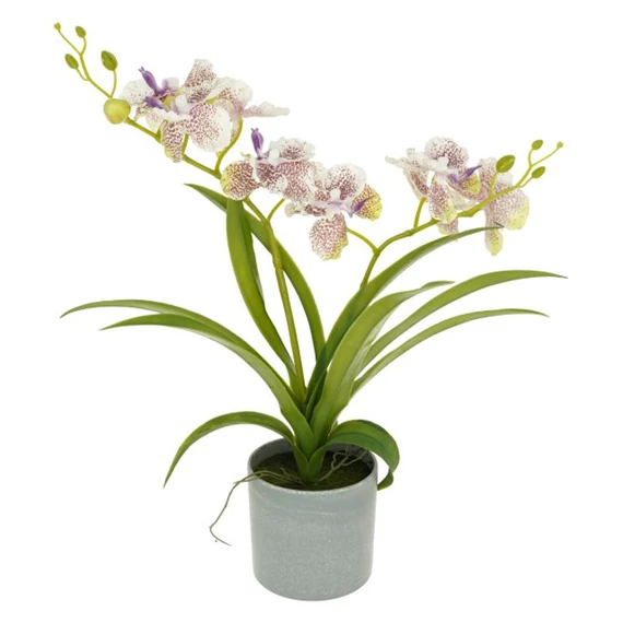 Selyemvirág Orchidea, Vanda, 2 ágú, kaspóban 39 cm