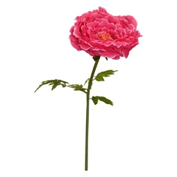 Selyemvirág óriás Peonia XXL 150x55 cm