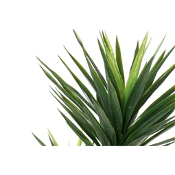 Selyemvirág pálma 80x150 cm