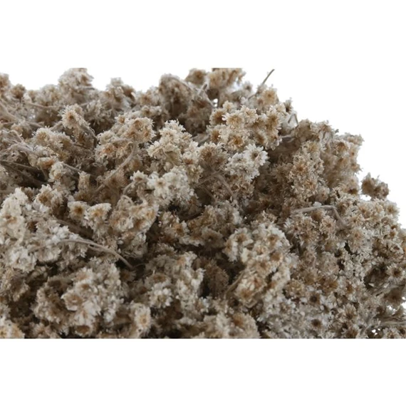 Selyemvirág szárazvirág kaspóban 22x22x14 cm 2 féle