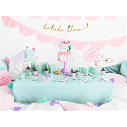 Szalvéta kaktusz, mix, 11,5x13,5 cm S/20