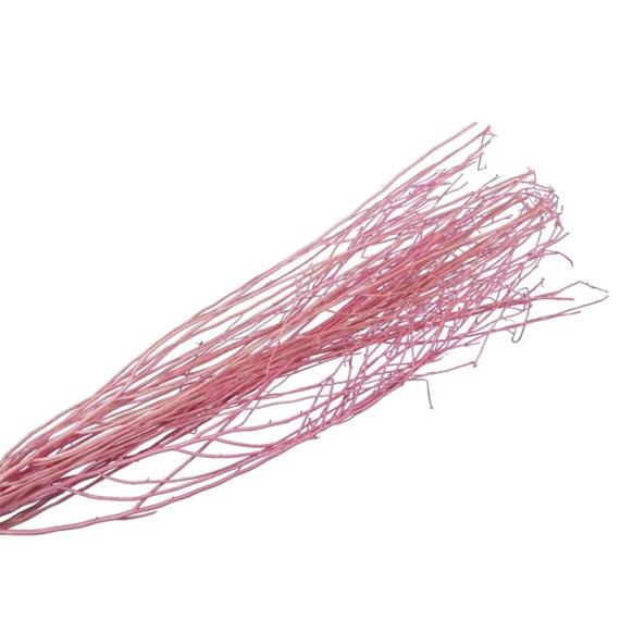 Szárazvirág vessző köteg 90-100 cm S/10