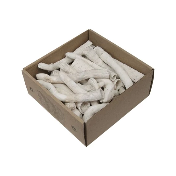 Szárított gyökér 200 g