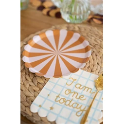 Papírtányér csíkos, vegyes, 21 cm S/6