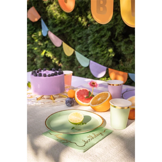 Papírtányér mix 21 cm S/6