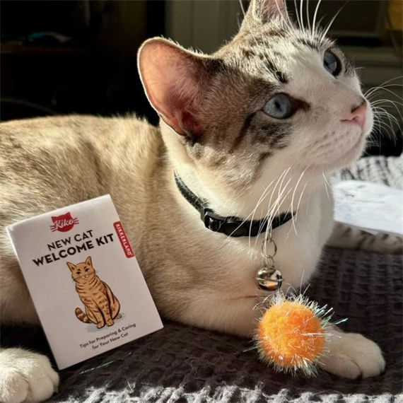 Üdvözlő készlet macskáknak fémdobozban 7,3x10,5x3 cm