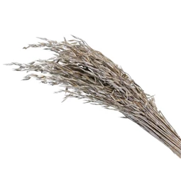 Zab csokor 100 g, 75 cm