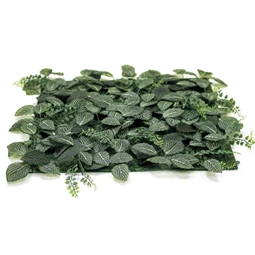 Zöldfal Fittonia levelekkel 50x50 cm