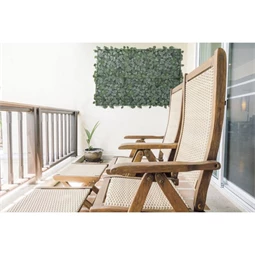 Zöldfal Fittonia levelekkel 50x50 cm