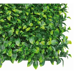 Zöldfal babérlevelekkel 1x1 m